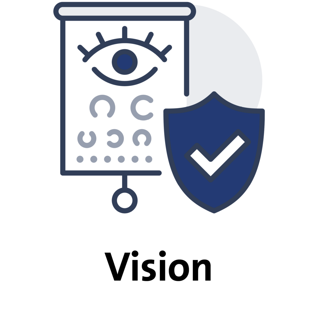 Vision: icon of a clipboard with eye on it and a shield with a checkmark