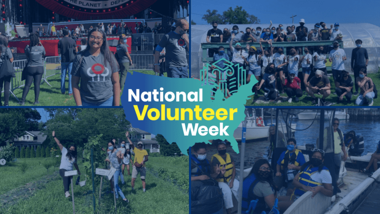 A grid with four pictures of Michelle in action