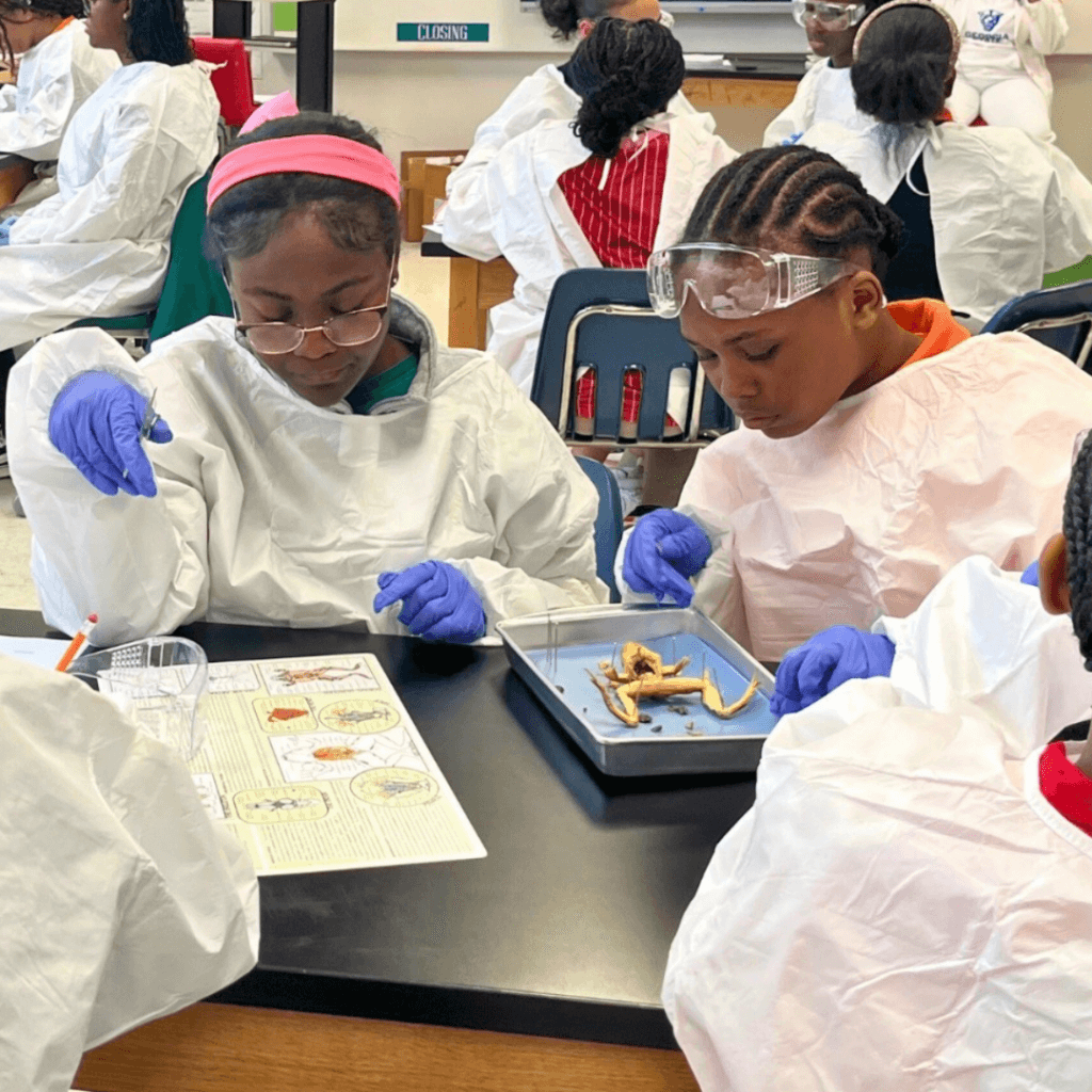 Two students demonstrate leadership as they wear gloves, goggles, and lab coats to dissect a specimen in the classroom, referencing a diagram on the table.